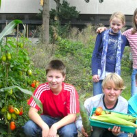 Mit Tomaten und Mais etwas über Armut lernen: Kinder im Schulgarten des Friedrich-Spree-Gymnasiums - 5VIER