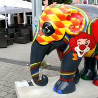 Elefant: Carnephanti - 5VIER