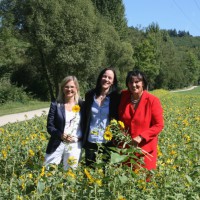 Karin Kaltenkirchen, Katja Sauer und Baudezernetin Simone Kaes-Torchiani - 5VIER