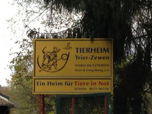 Tierheim_3