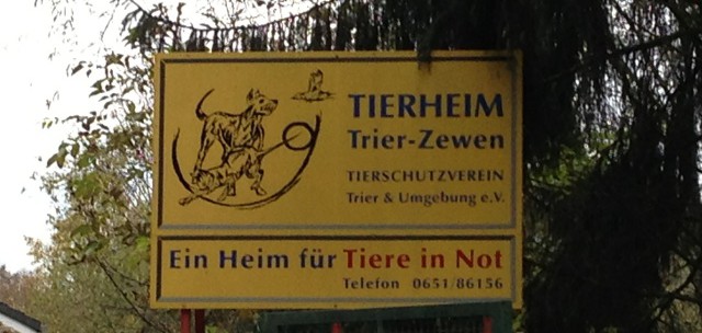Tierheim_3 - 5VIER