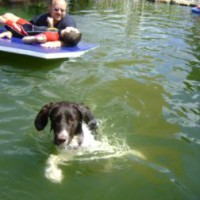 DogTher®- Hydrotherapie, Foto: DogTher®  - 5VIER