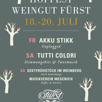 Hoffest_2014_Weingut Fürst[1] - 5VIER