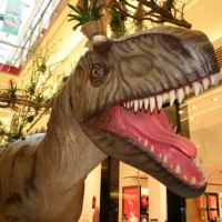 Albertosaurus,  Aufregend kaltblütig  Galerie Trier, Foto: 5vier.de - 5VIER