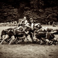 Rugby FSV Tarforst - 5VIER