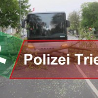 Baum_Polizei - 5VIER
