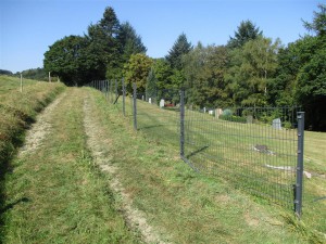 Friedhof Übersicht IMG_1526 (Mittel)