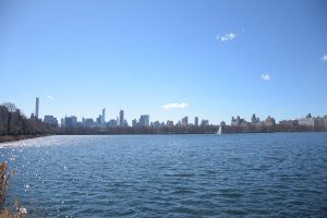 Manhattans Skyline vom Central Park aus gesehen