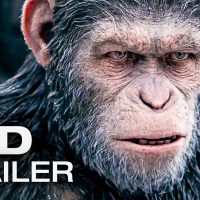 Die Kino-Woche: Planet der Affen – Survival - 5VIER