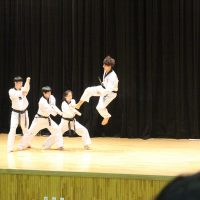 taekwondo-544831_1280 - 5VIER
