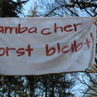 Hambacher Forst