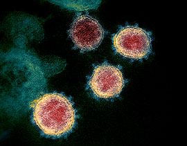 Corona-Virus Coronavirus
