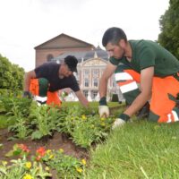 Wenn die Stadt erblüht: StadtGrün bepflanzt Trier