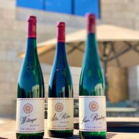 Weintests: Trockene Weine des Jahrgangs 2019 aus der Region Mosel sind Spitze
