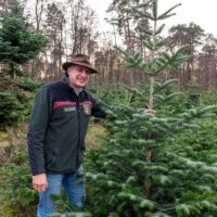 Ökologisch angebaute Weihnachtsbäume in jeder beliebigen Größe: Forstdirektor Gundolf Bartmann kann auf ein großes Angebot zurückgreifen. Bild: Rolf Lorig