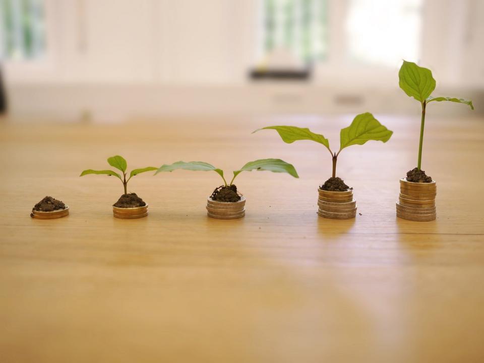 Das Bild zeigt 5 Münzhaufne mit Pflanzen darauf, die ein Wirtschaftswachstum darstellen sollen. Bild von RoboAdvisor auf Pixabay