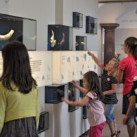 Museumswerkstatt für Kinder: „Ein Tag in der Steinzeit“