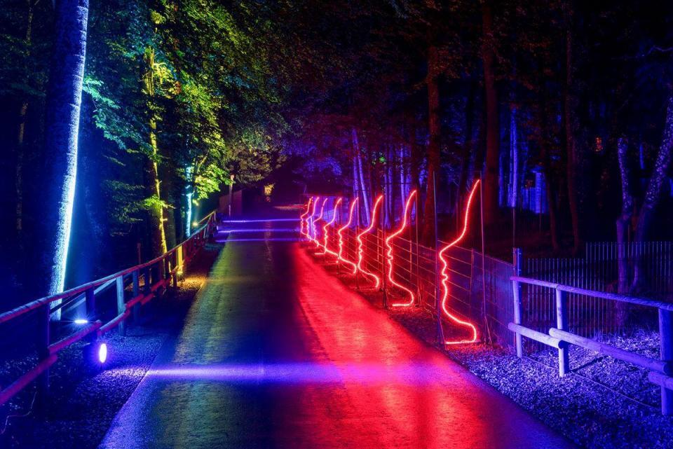 Eifelpark Leuchten vom 10. September bis 3. Oktober 2021