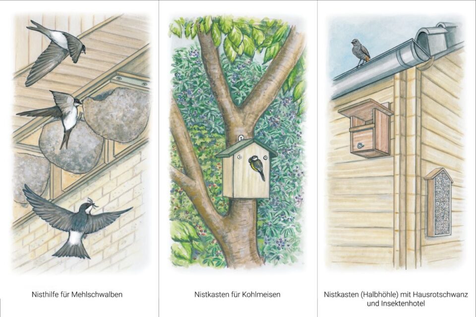 Auf der Zeichnung sieht man verschiedene Nisthilfen. Bildquelle: Naturpark Südeifel/Sabine Dubb.