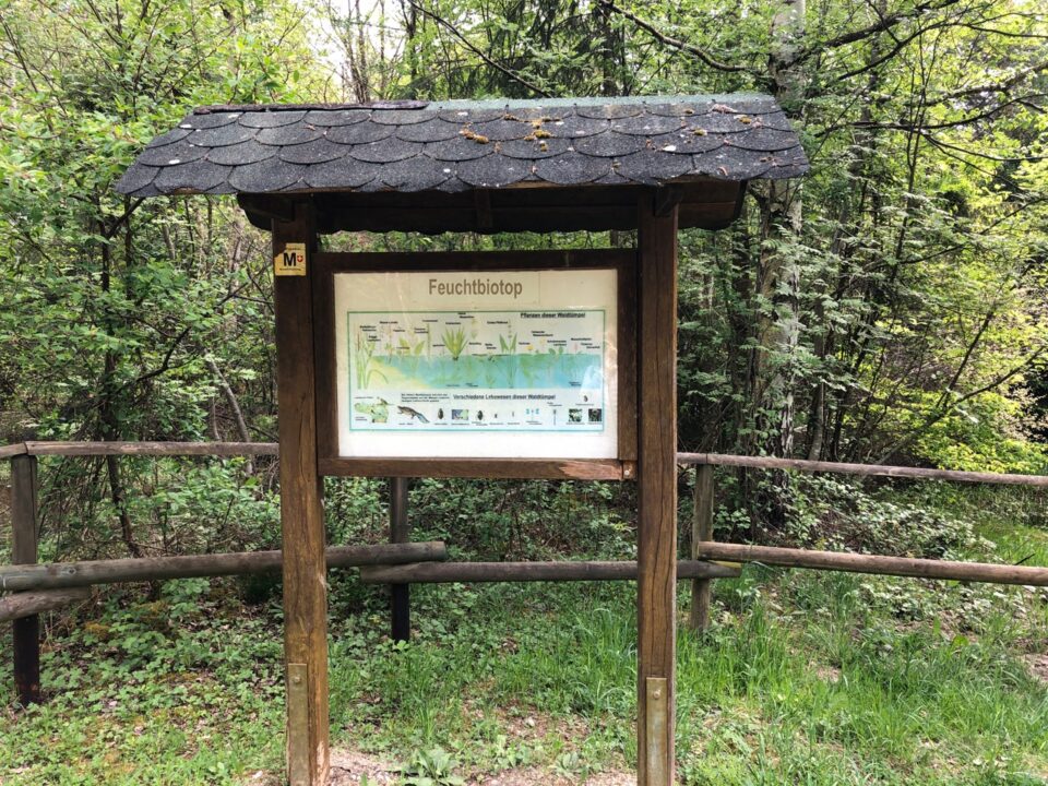 Eine Info-Tafel auf dem Walderlebnispfad. Foto: Anna-Lena Hees
