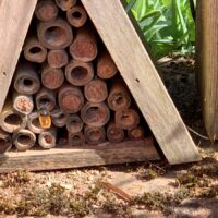 Wildbienen-Nisthilfen im Garten bieten den Tieren ein Zuhause und Schutz vor Fressfeinden sowie schlechter Witterung. Bildquelle: Naturpark Südeifel/Daniela Torgau.