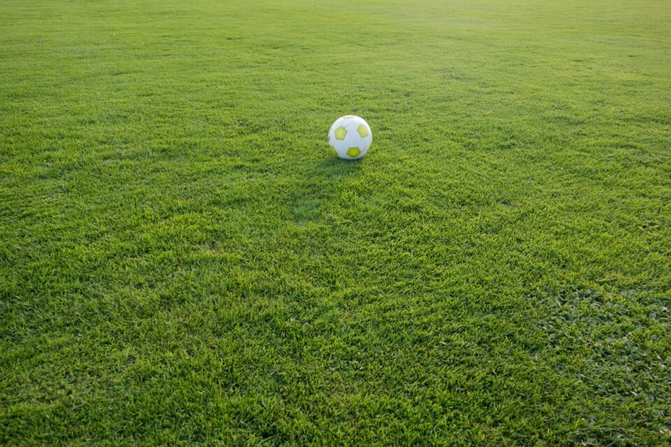Ein grünner Fussball liegt auf einer Wiese. Foto:Bild von Michael Schwarzenberger auf Pixabay