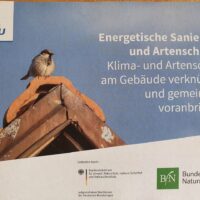 Die Broschüre "Energetsiche Sanierung und Artenschutz" kann kostenlos im Weltladen erworben werden. Foto: NABU Regionalstelle RLP-West