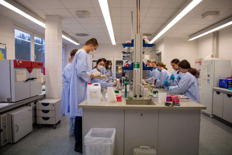 Bei einem Praktikum an der Universität Trier lernten Schülerinnen und Schüler die Arbeit im Labor kennen. Foto: Universität Trier