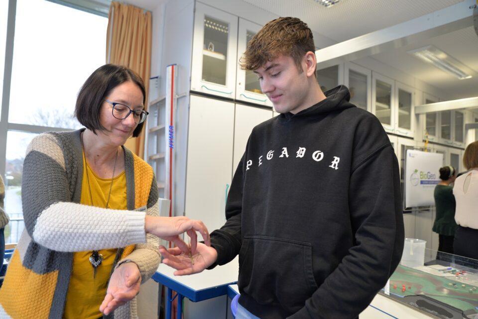 Stabschrecken ermöglichen forschendes Lernen an lebenden Tieren. Foto: Universität Trier