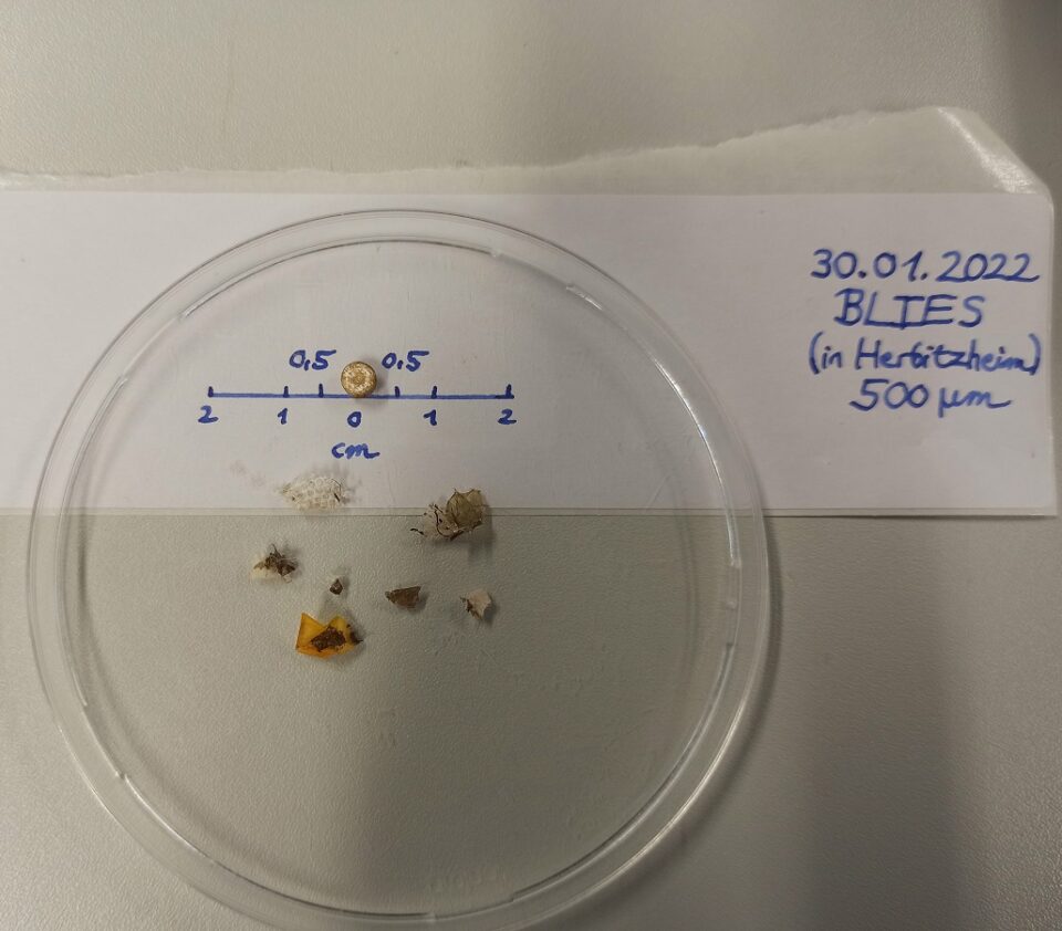 In allen untersuchten Gewässern fanden die Studierenden bei ihrer Untersuchung unterschiedlich große Mikroplastikteile. Foto: Universität Trier