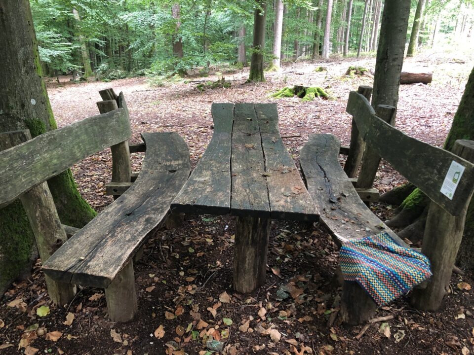 Picknickmöglichkeit im Wald. Foto: 5vier.de/Anna-Lena Hees
