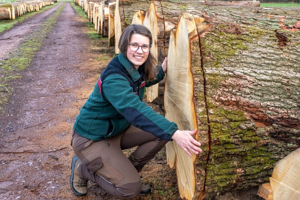 Die hohe Qualität des Holzes zeigt Revierförsterin Lea Epper. Foto: Rolf Lorig