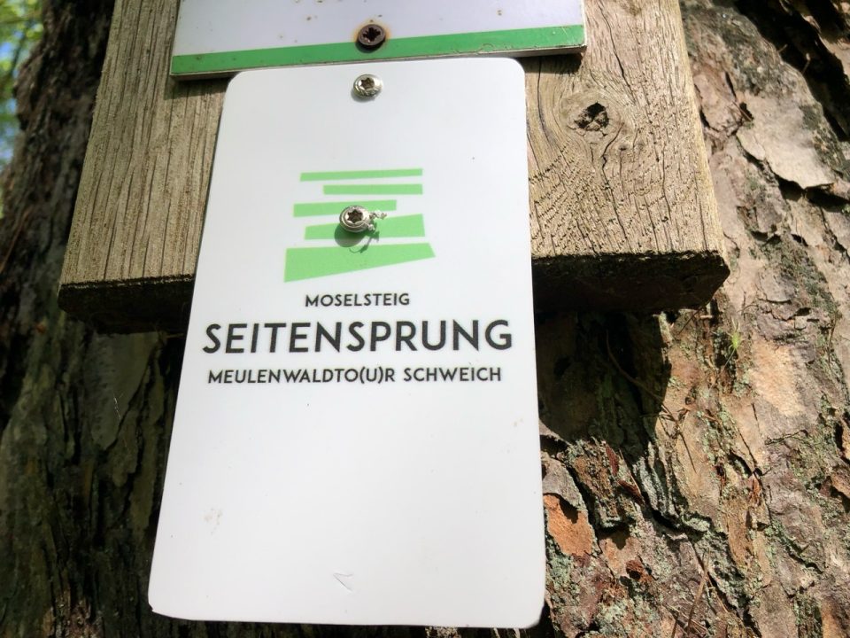 An vielen Baumstämmen sind Wegmarkierung angebracht. Foto: 5vier.de/Anna-Lena Hees