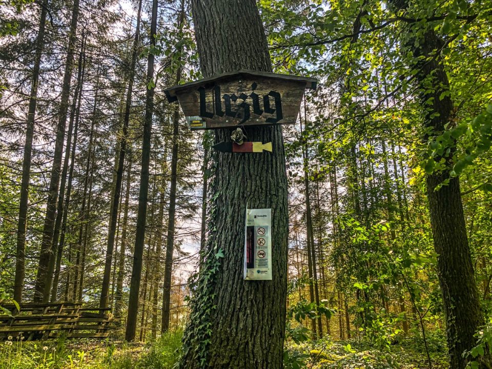 Ein Wegweiser am Baum im Wald. Foto: 5vier.de/Anna-Lena Hees