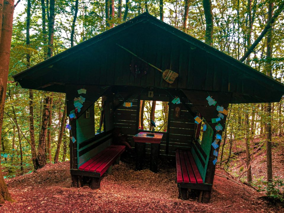 Die Hütte im Wald. Foto: Anna-Lena Hees