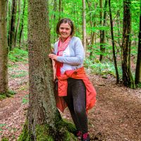 5vier-Reporterin Anna-Lena Hees hat sich im Wald über dem Weinort Ürzig umgesehen. Foto: 5vier.de/Anna-Lena Hees