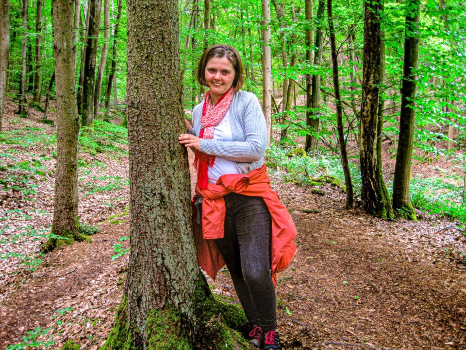 5vier-Reporterin Anna-Lena Hees hat sich im Wald über dem Weinort Ürzig umgesehen. Foto: 5vier.de/Anna-Lena Hees