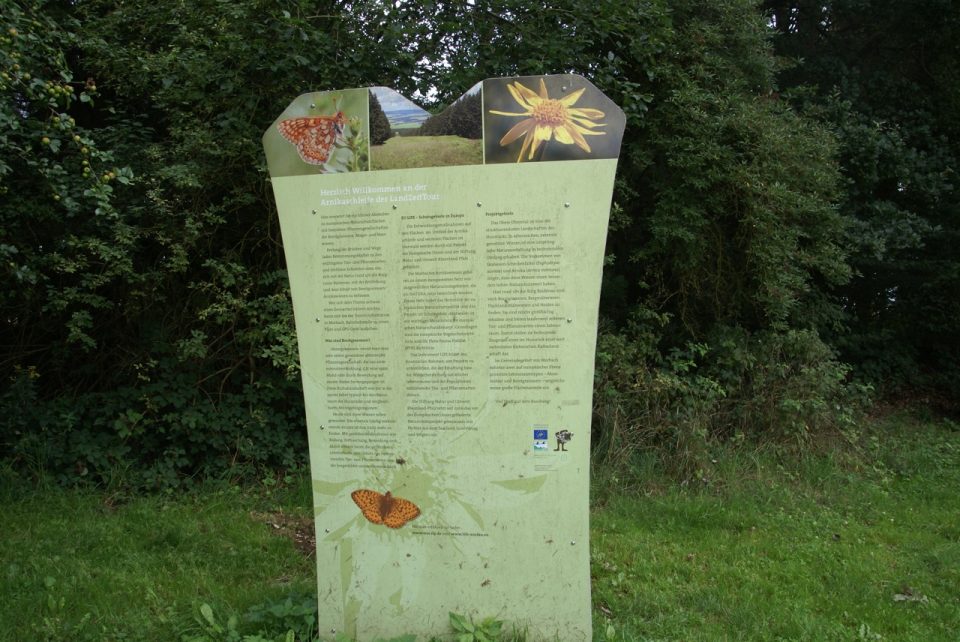 Info-Tafel zur Arnikaschleife unweit der Burg Baldenau. Foto: 5vier.de/Anna-Lena Hees