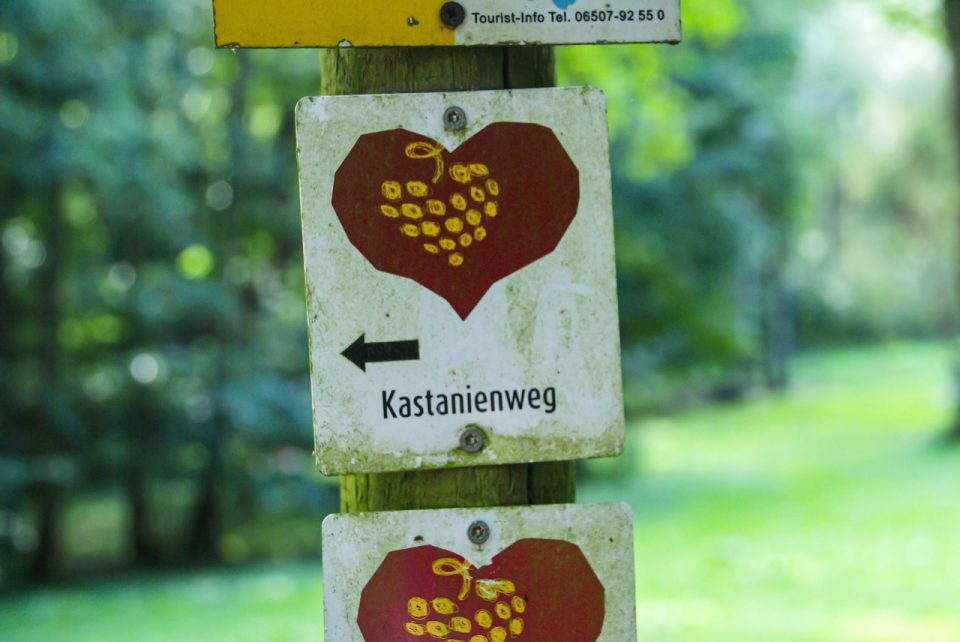 Der Kastanienweg ist einer der Herz-Wanderwege im Ferienland Bernkastel-Kues. Foto: 5vier.de/Anna-Lena Hees