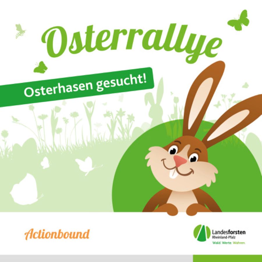 Ankündigungsbild für die Osterrally im Meulenwald. Foto: Jonathan Fieber für Landesforsten.RLP.de