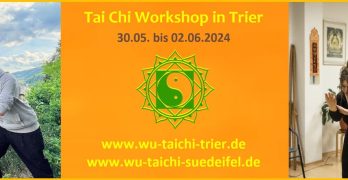 Wu Tai Chi Workshop in Trier im Mai 2024 mit Johannes und Kaya. Foto: Johannes Nett