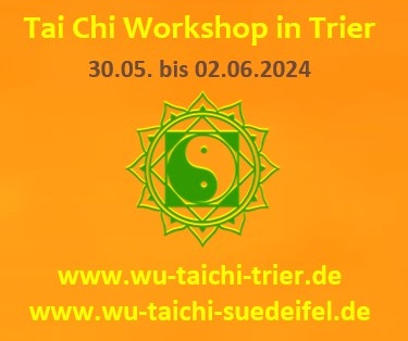 Wu Tai Chi / Taiji Workshop in Trier im Mai 2024 mit Johannes und Kaya.