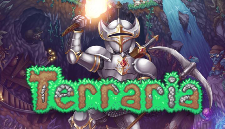 Terraria Cover -
Re-Logic - Steam https://store.steampowered.com/app/105600/Terraria/